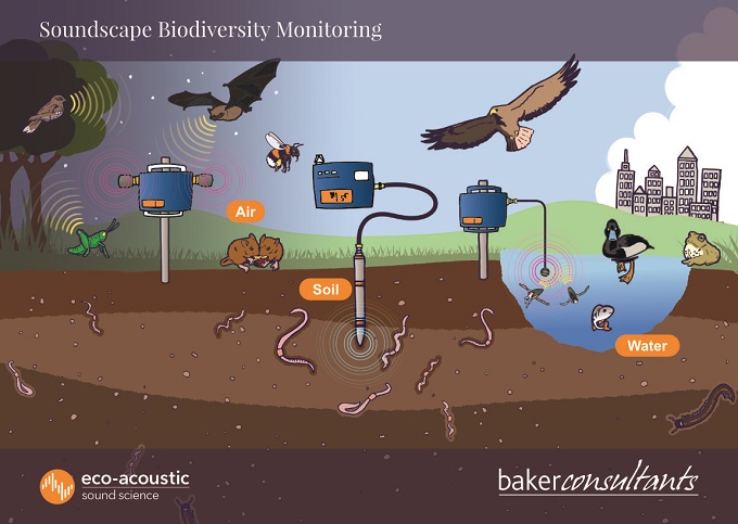 soil - Ecoacoustics infographic
